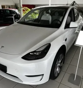 Tesla Model Y Performance